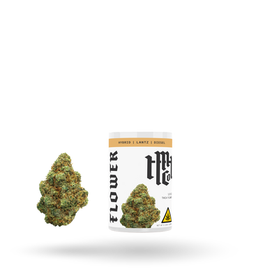 THCa Flower: Lantz (Hybrid), 1/8oz